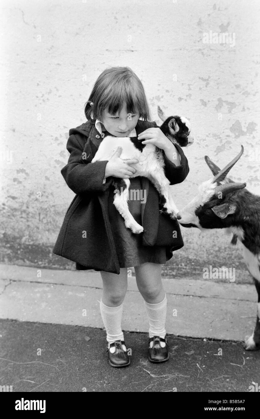 Bambino in possesso di una capra bambino nella sezione da cortile al Crystal Palace childrenÕs Zoo. &#13;&#10;Maggio 1975 Foto Stock