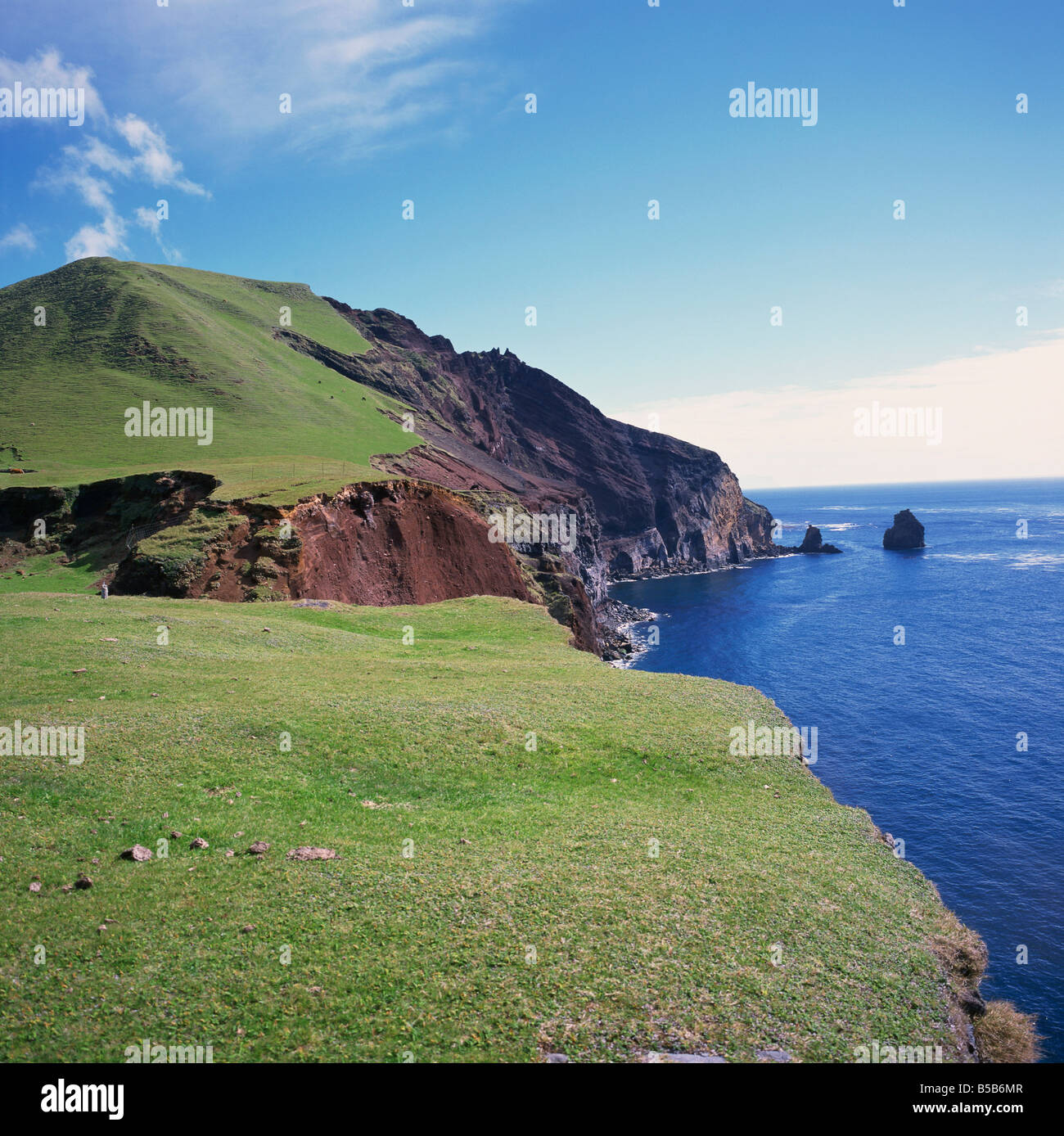 Erba e rabboccato scogliere lungo la costa nord occidentale tra l'insediamento di Edimburgo e le patate e le patch su Tristan da Cunha Sud Foto Stock