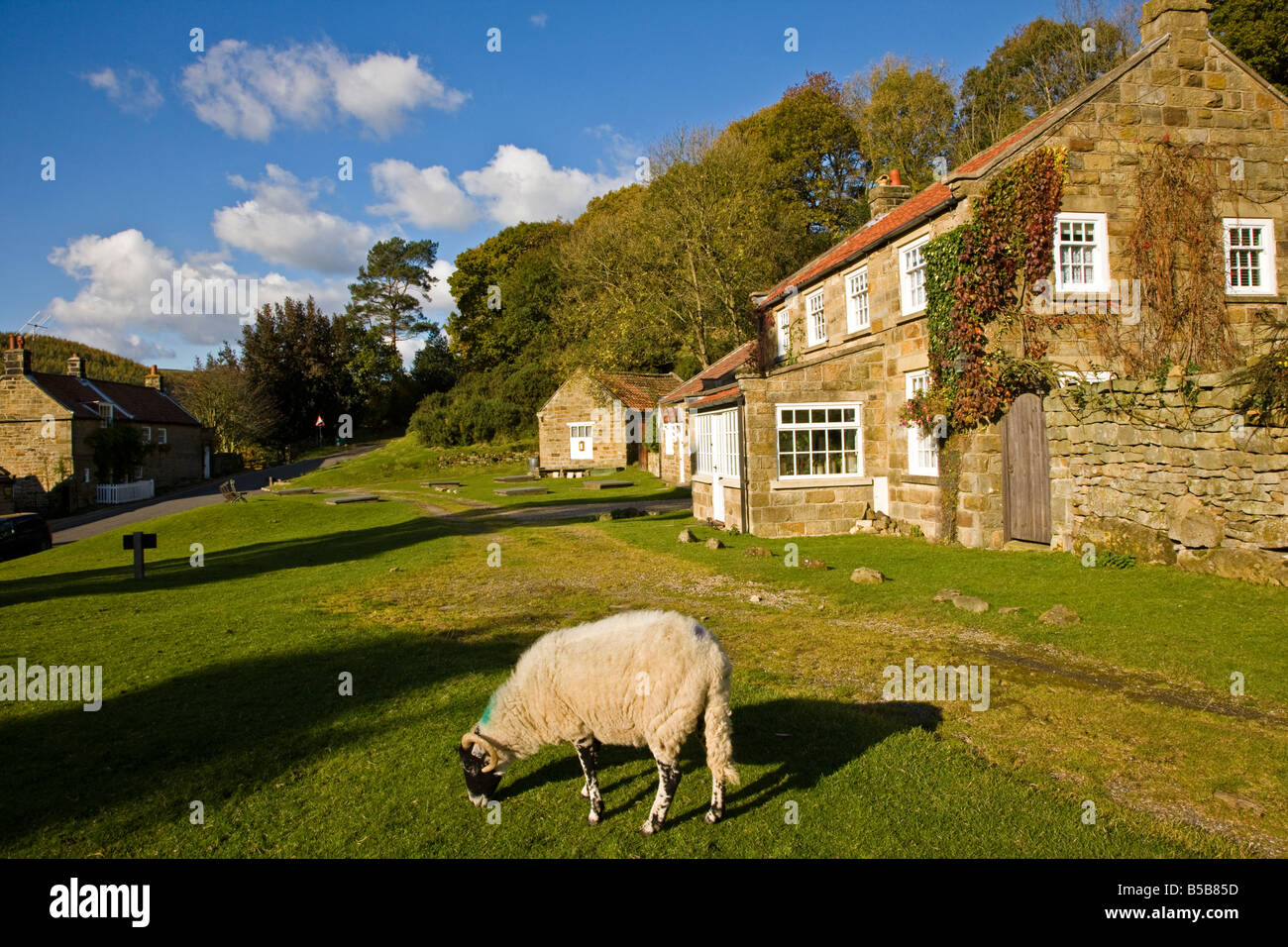Autunno Beck Foro Goathland North York Moors National Park Foto Stock