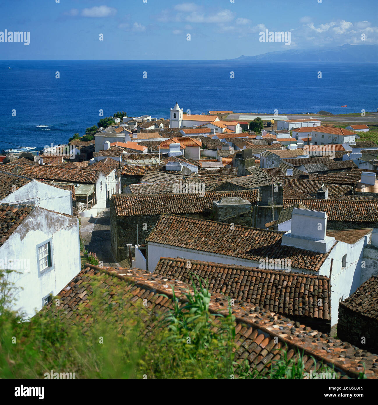Flores da Corvo Azzorre mid-atlantico Foto Stock