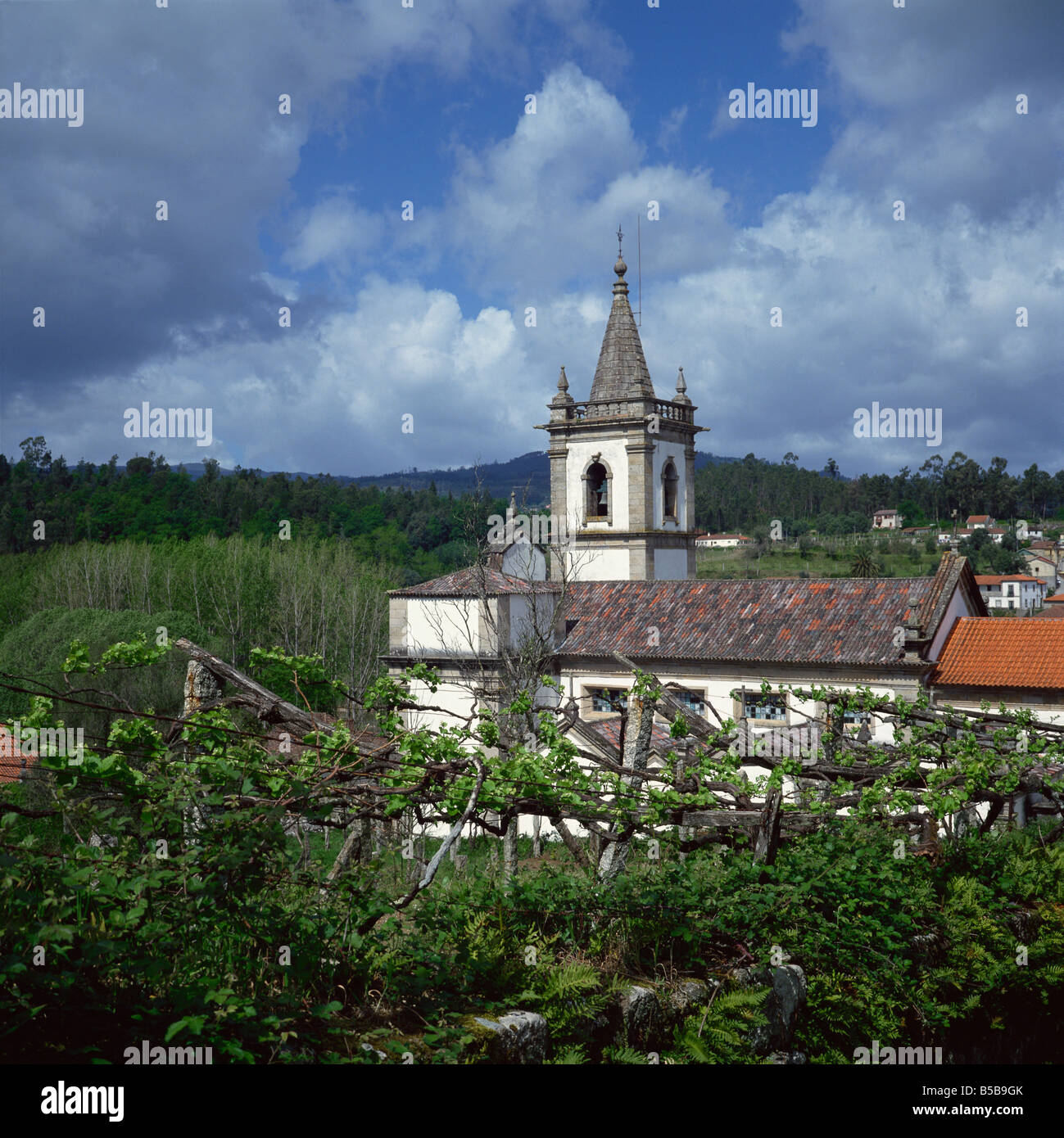 Vinho verde dei vigneti e la chiesa del paese, Ponte da Barca, Minho, Portogallo, Europa Foto Stock