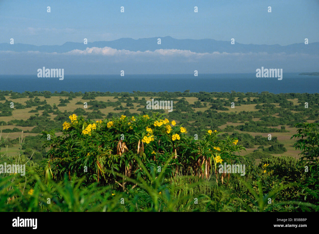 Lago Edward in background Queen Elizabeth National Park Uganda East Africa Africa Foto Stock