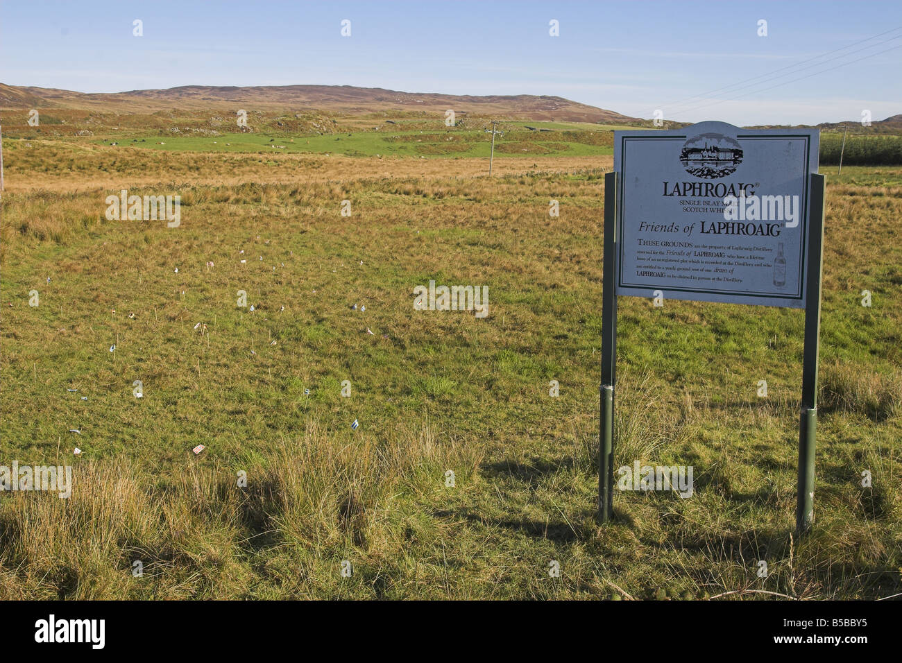 Al di fuori del campo Laphroaig Distillery, massa in affitto con bandiere Foto Stock