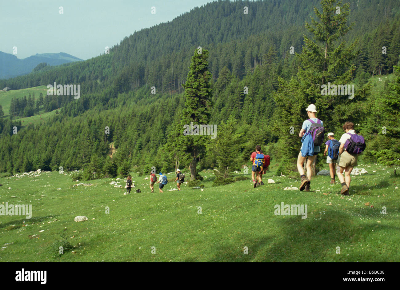 Piatra Craiului Monti Carpazi, Transilvania, Romania, Europa Foto Stock