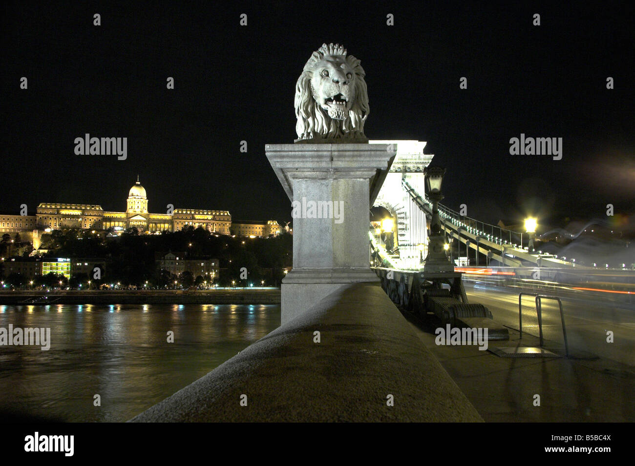 Custode lion statua, il Ponte della Catena illuminata di notte, Budapest, Ungheria Foto Stock