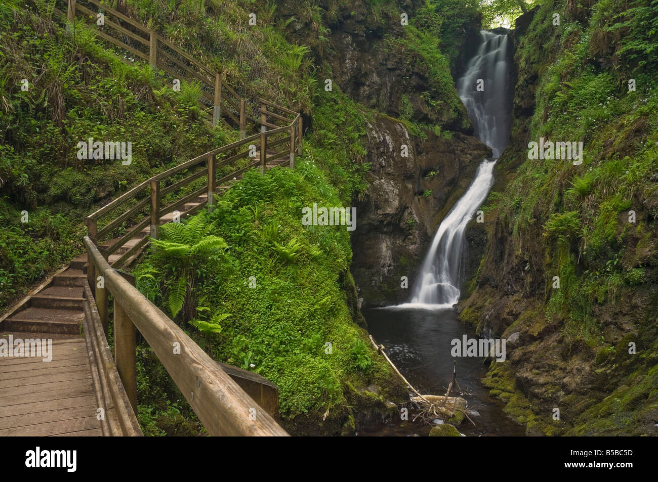 Visitatore camminamento e passaggi, ess-na-Larach cascata, Glenariff Country Park, County Antrim, Ulster (Irlanda del Nord Foto Stock