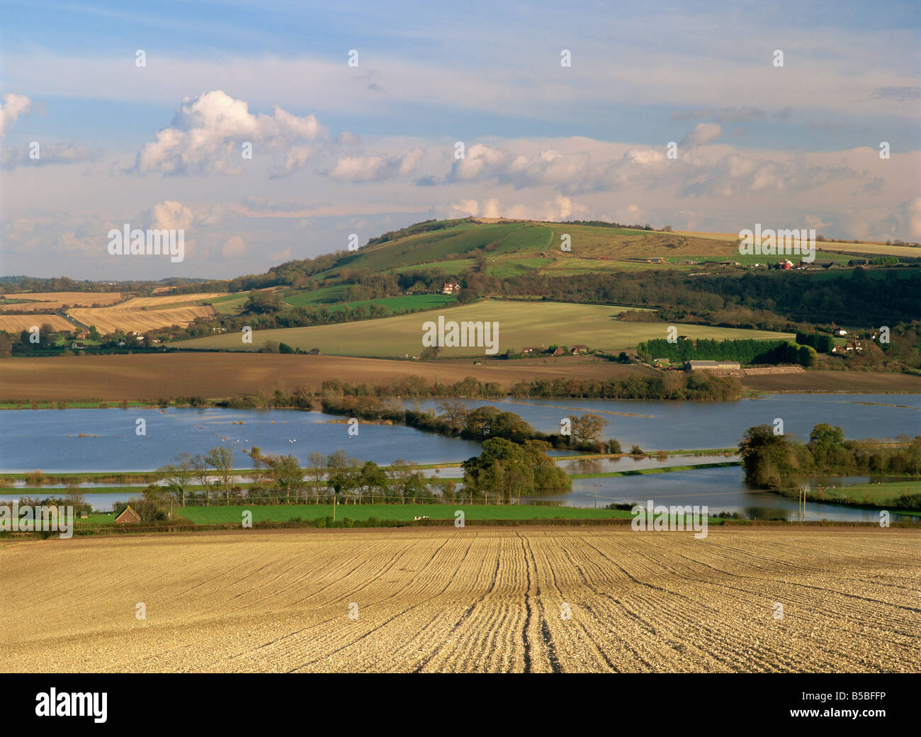 Arun Valley in cibo, con South Downs oltre, Bury, Sussex England, Europa Foto Stock