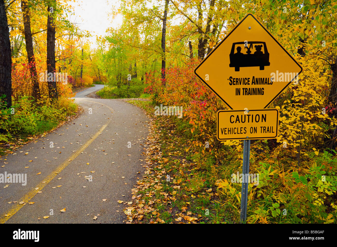 Sentiero pavimentato in autunno di Edmonton, Alberta, Canada Foto Stock