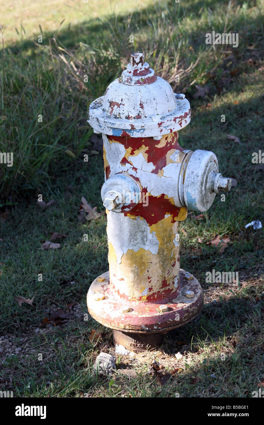 Un idrante di acqua nella città di Branson Missouri che è stato dipinto numerose volte Foto Stock
