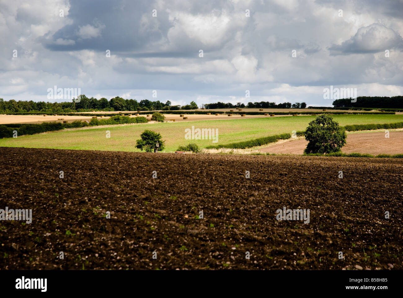 Nottinghamshire terreni agricoli Foto Stock