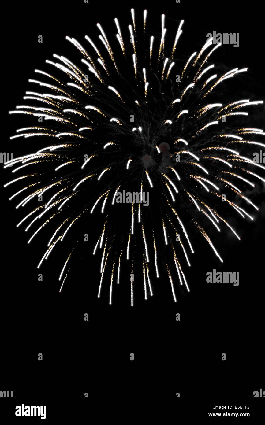 Fuochi d'artificio di esplodere in un cielo notturno Foto Stock