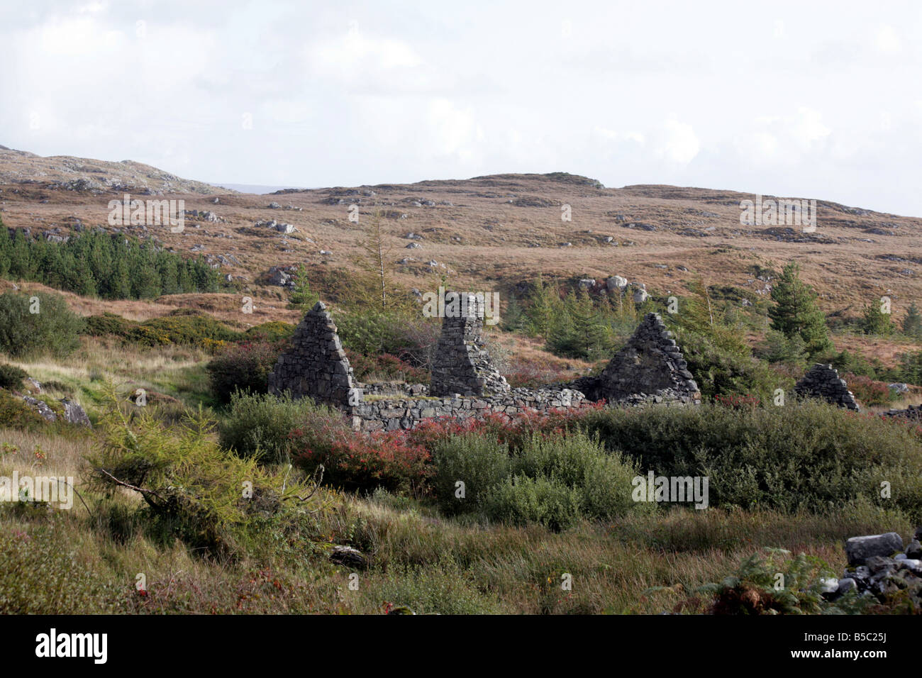 Cottage abbandonati, Ballynahinch Contea di Galway, Irlanda Foto Stock