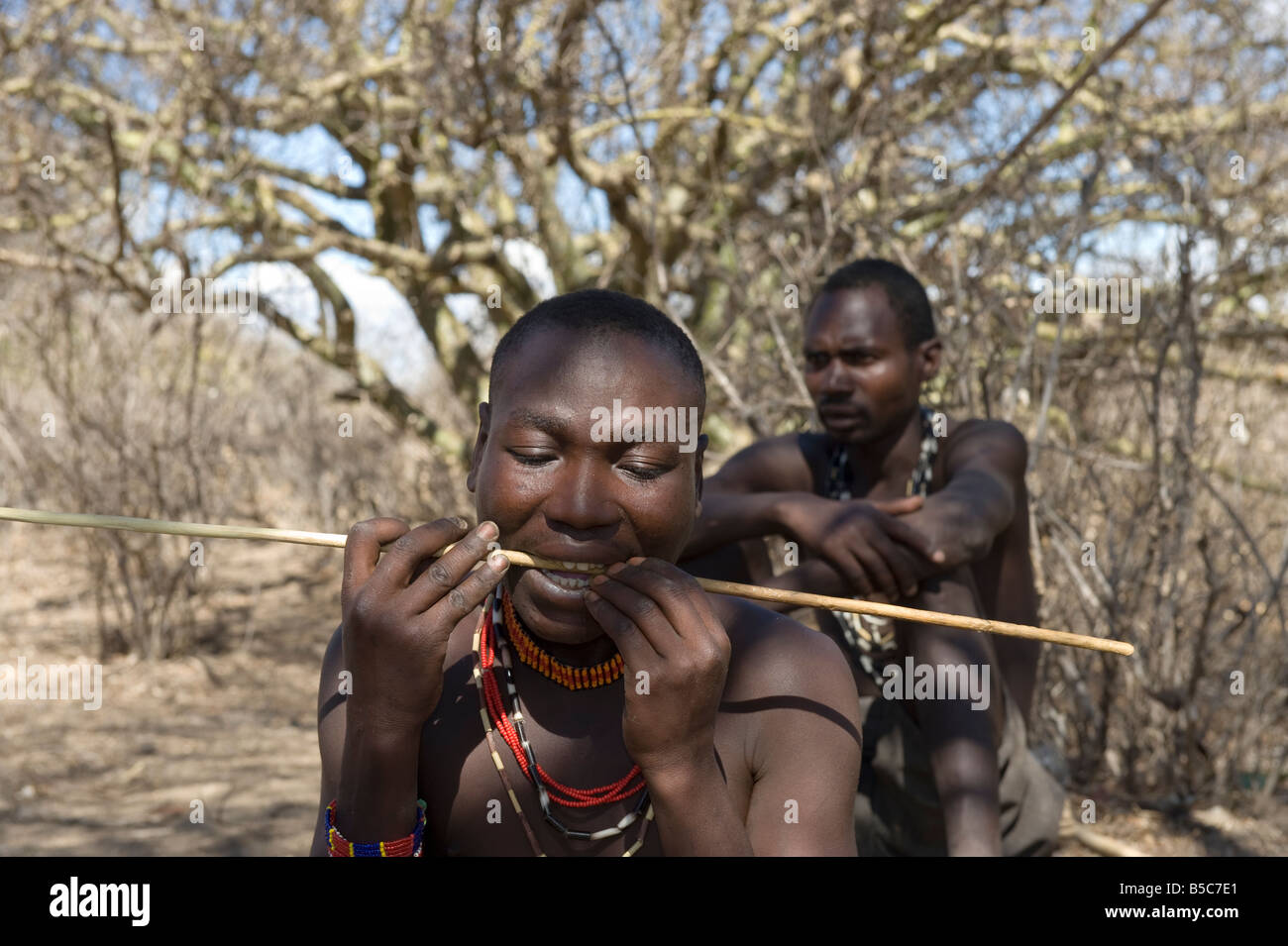 Hadzabe uomo piegando una freccia di caccia Lago Eyasi Tanzania Foto Stock