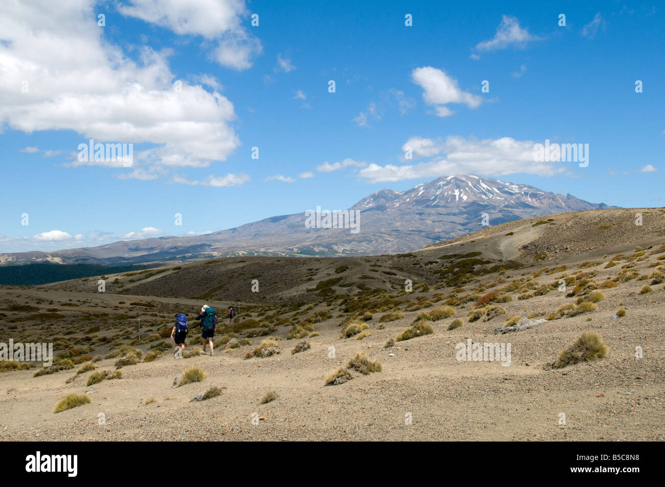 Il Monte Ruapehu dal deserto Rangipo, Tongariro circuito nord, nord Isola, Nuova Zelanda Foto Stock