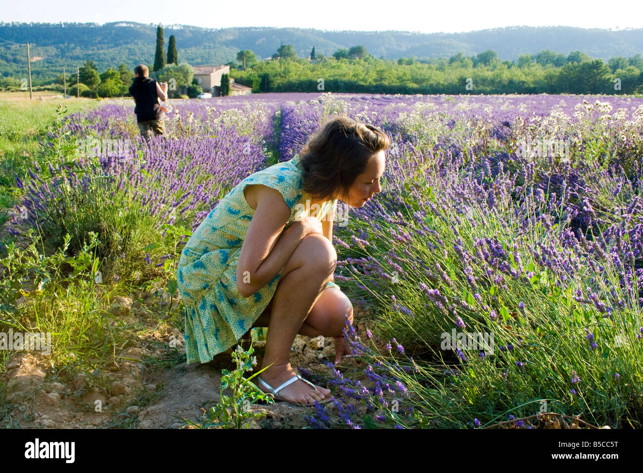 Campi di lavanda Provence con una giovane donna godendo la lavanda, Francia Foto Stock