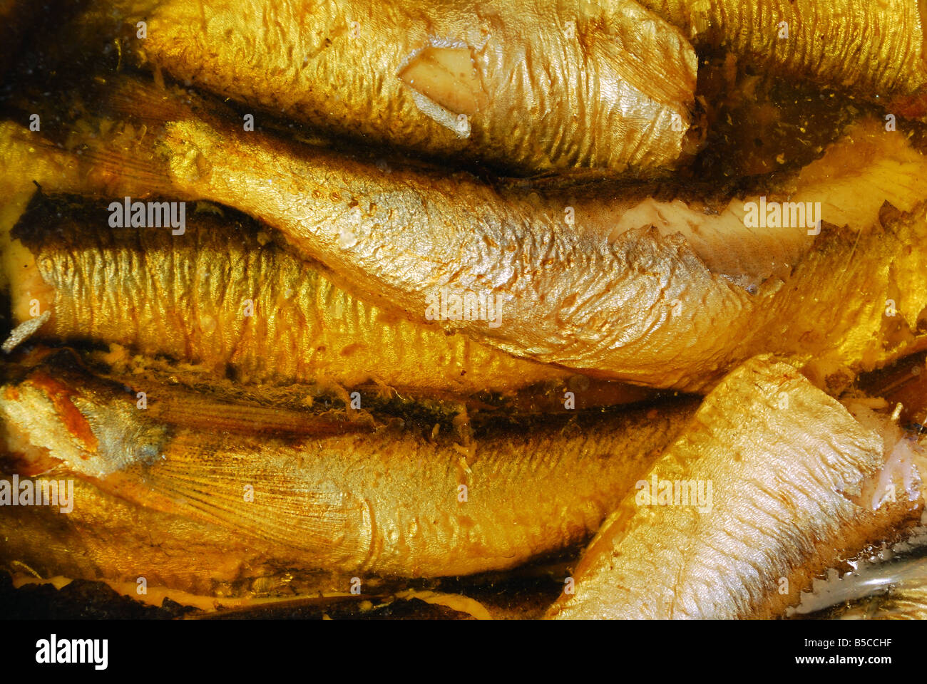 Spratto Pesce sono in burro snack su sfondo pieno Foto Stock