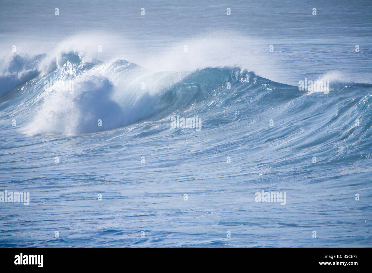 Crashing wave, Hookipa Beach Park, Maui, Hawaii Foto Stock