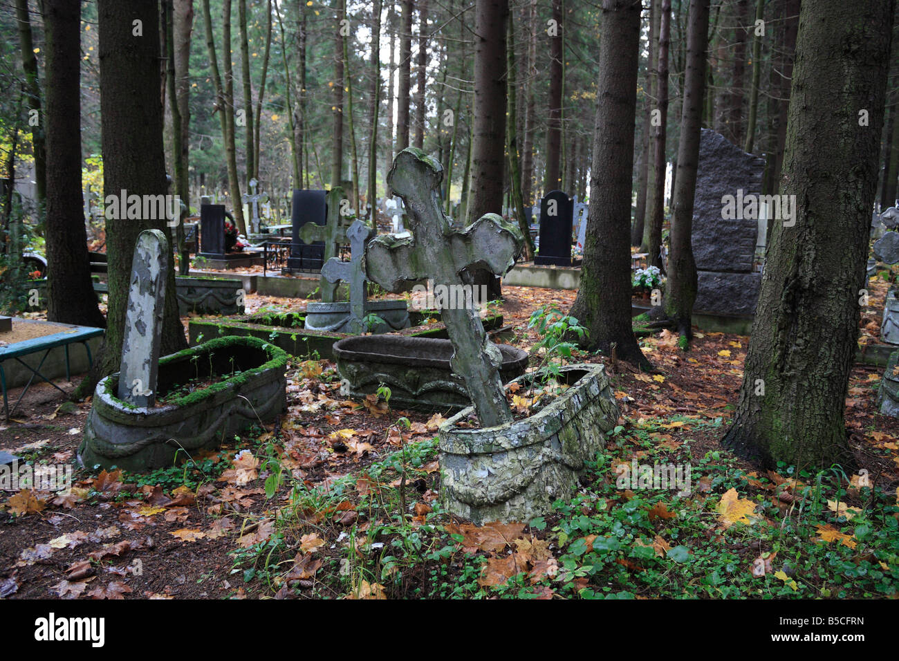 Vecchio Cimitero ortodosso nei boschi Foto Stock