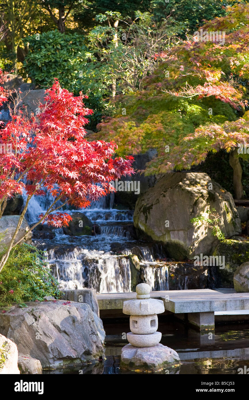 I colori autunnali nel giardino di Kyoto Holland Park London Regno Unito Foto Stock