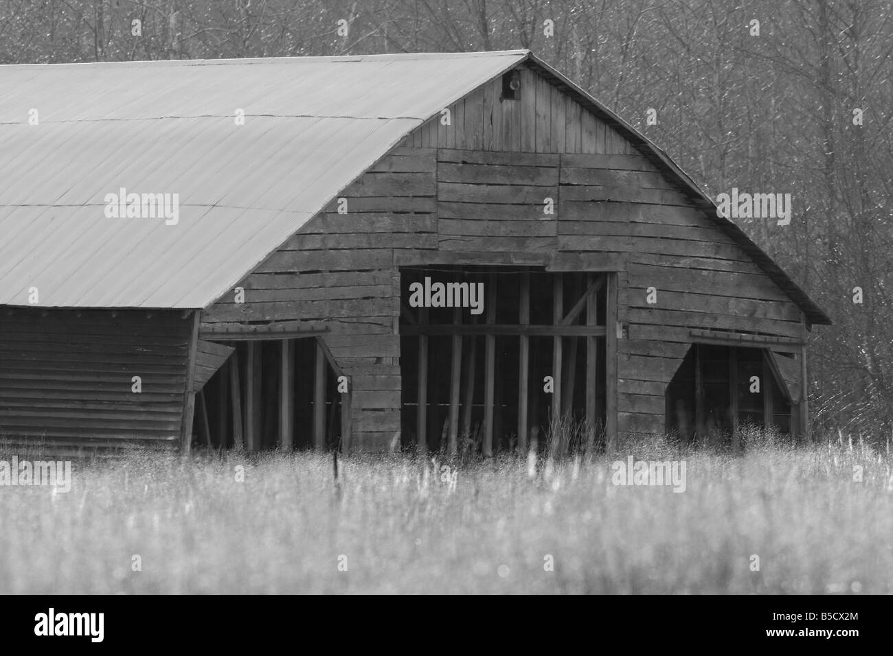 Un fienile rustico in un campo switchgrass vicino a Deerfield Virginia Foto Stock