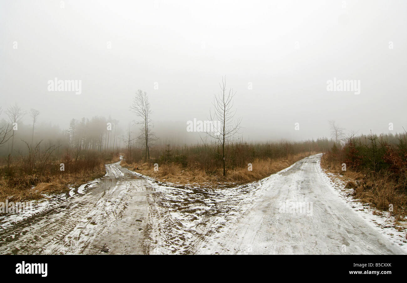 Crocevia - Colpo di strade forestali e nebbioso giorno - paesaggio autunnale - tetro paesaggio Foto Stock
