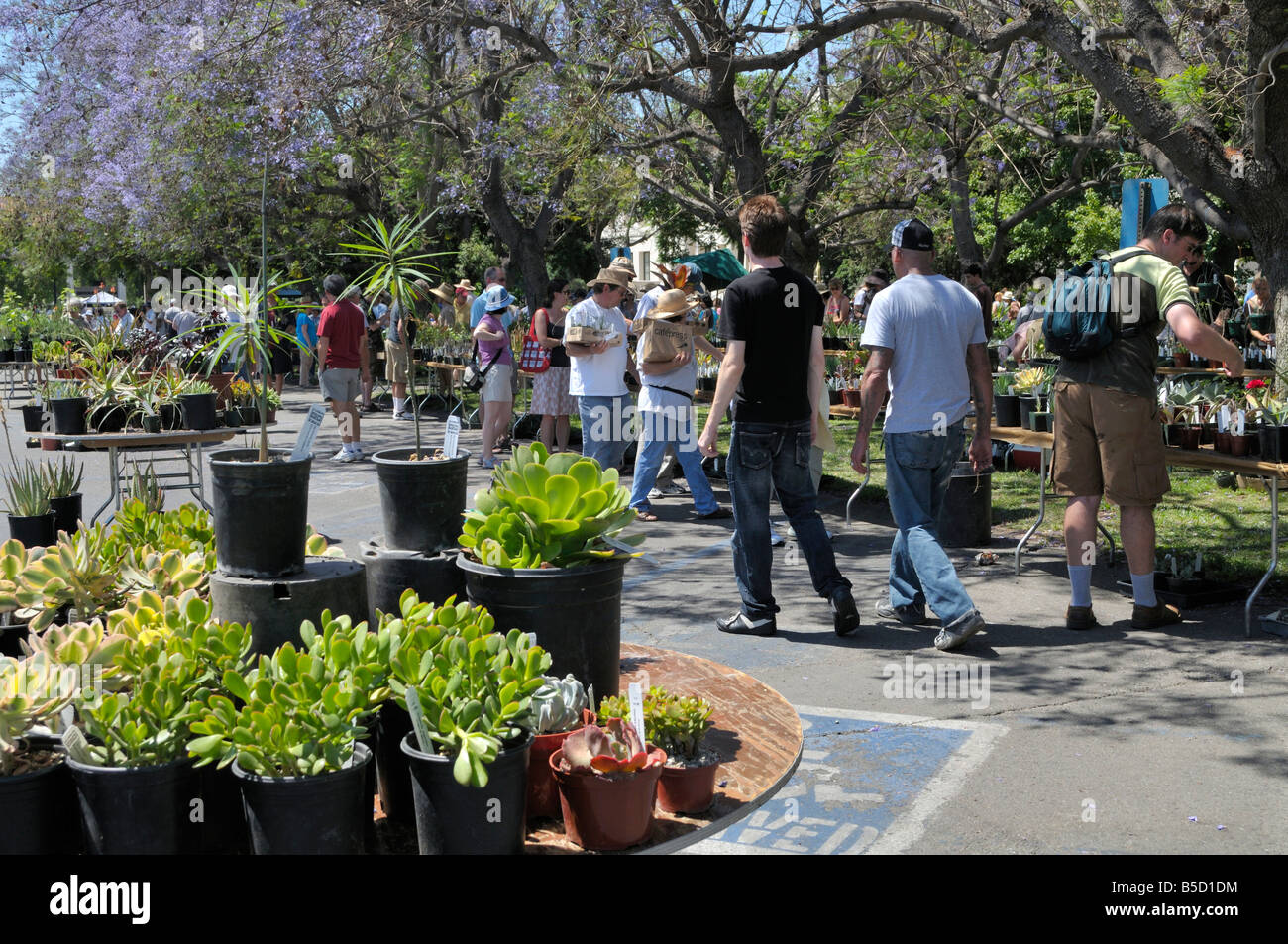 Biblioteca di Huntington impianto Vendita Foto Stock