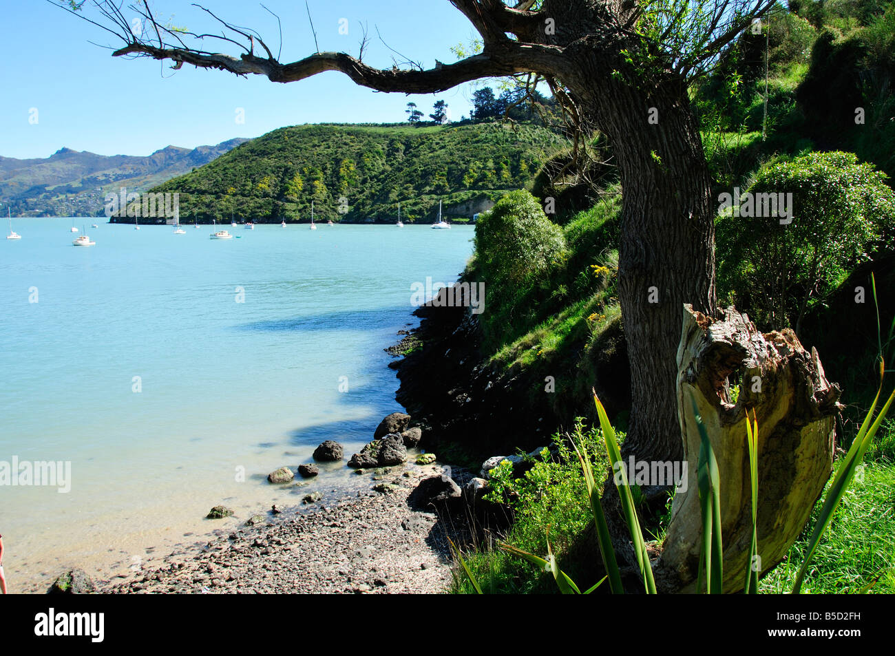 Vie acroos corsari Bay,Port Hills, Penisola di Banks, Nuova Zelanda Foto Stock
