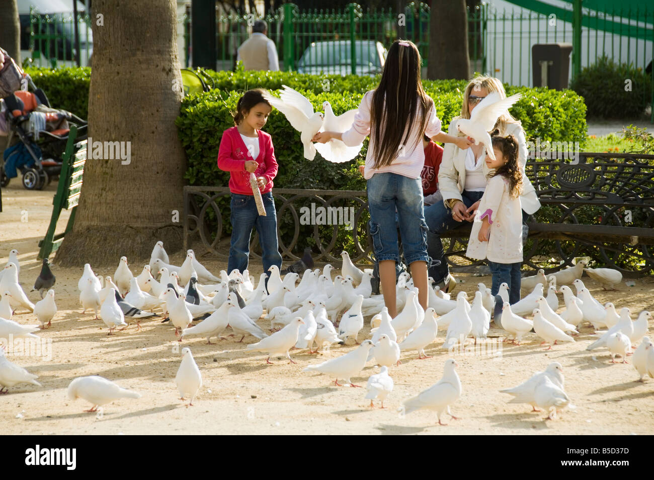 I piccioni a Plaza de America, Parque Maria Luisa, Siviglia, in Andalusia, Spagna, Europa Foto Stock