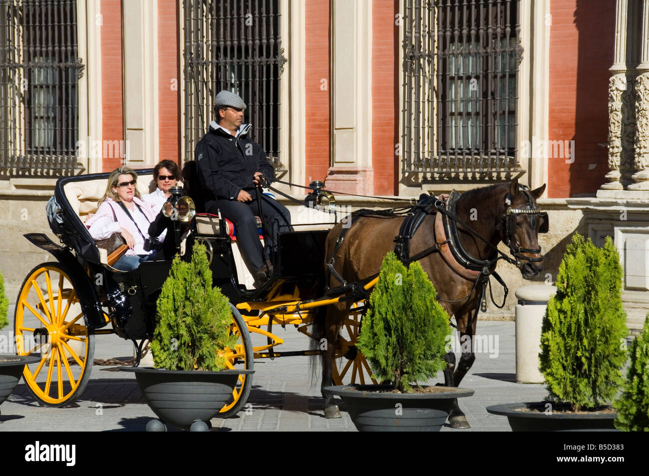 Cavallo e Carrozza con Arcivescovi Palace in background nel quartiere Santa Cruz di Siviglia, in Andalusia, Spagna, Europa Foto Stock