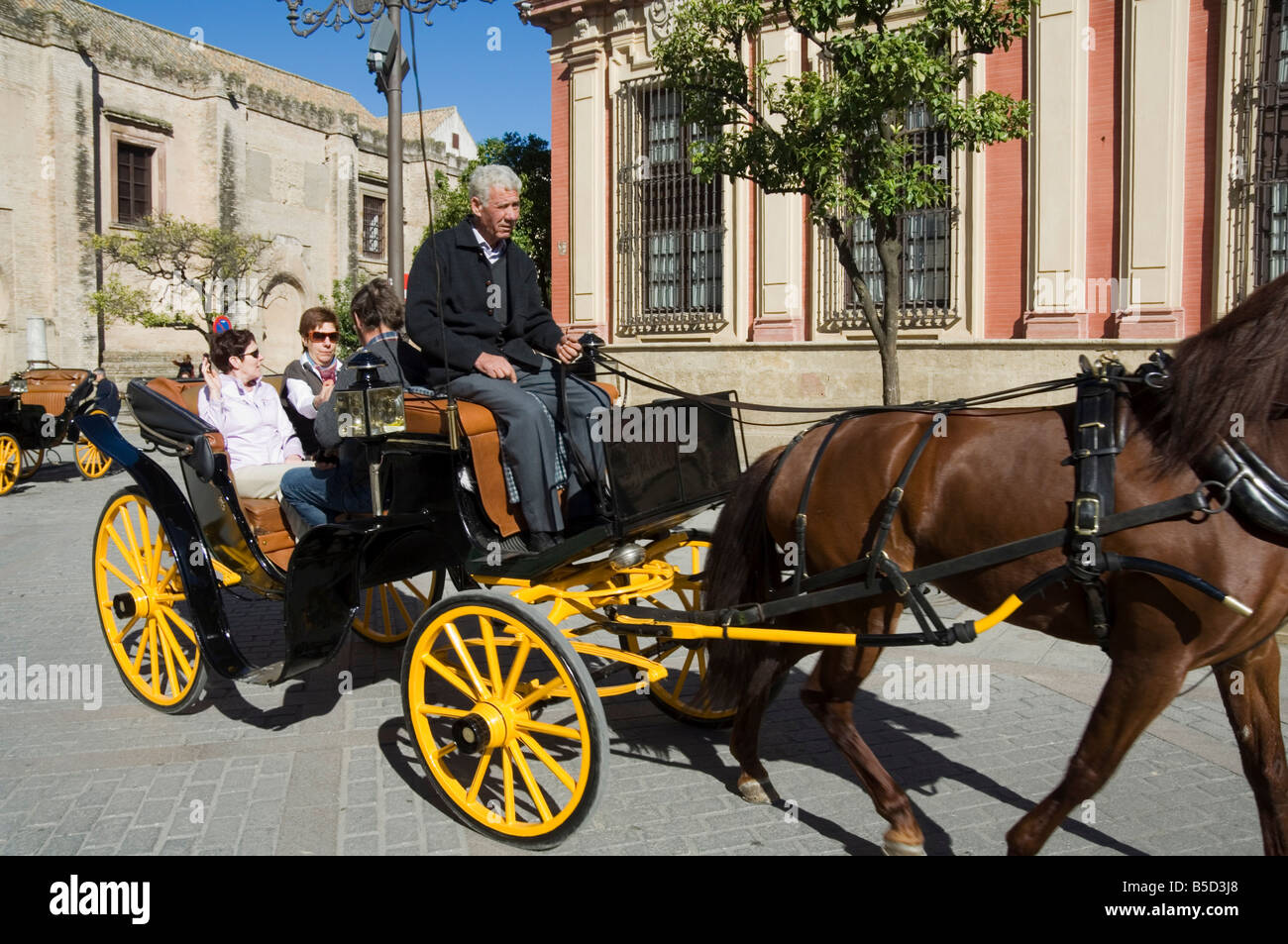 Cavallo e carrelli nel quartiere Santa Cruz di Siviglia, in Andalusia, Spagna, Europa Foto Stock