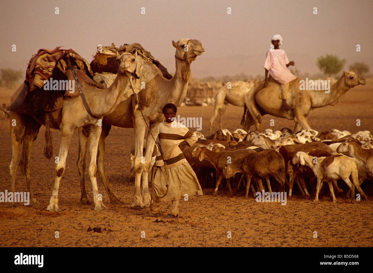 Persone e bestiame durante la carestia in 1997, Darfur, Sudan, Africa Foto Stock