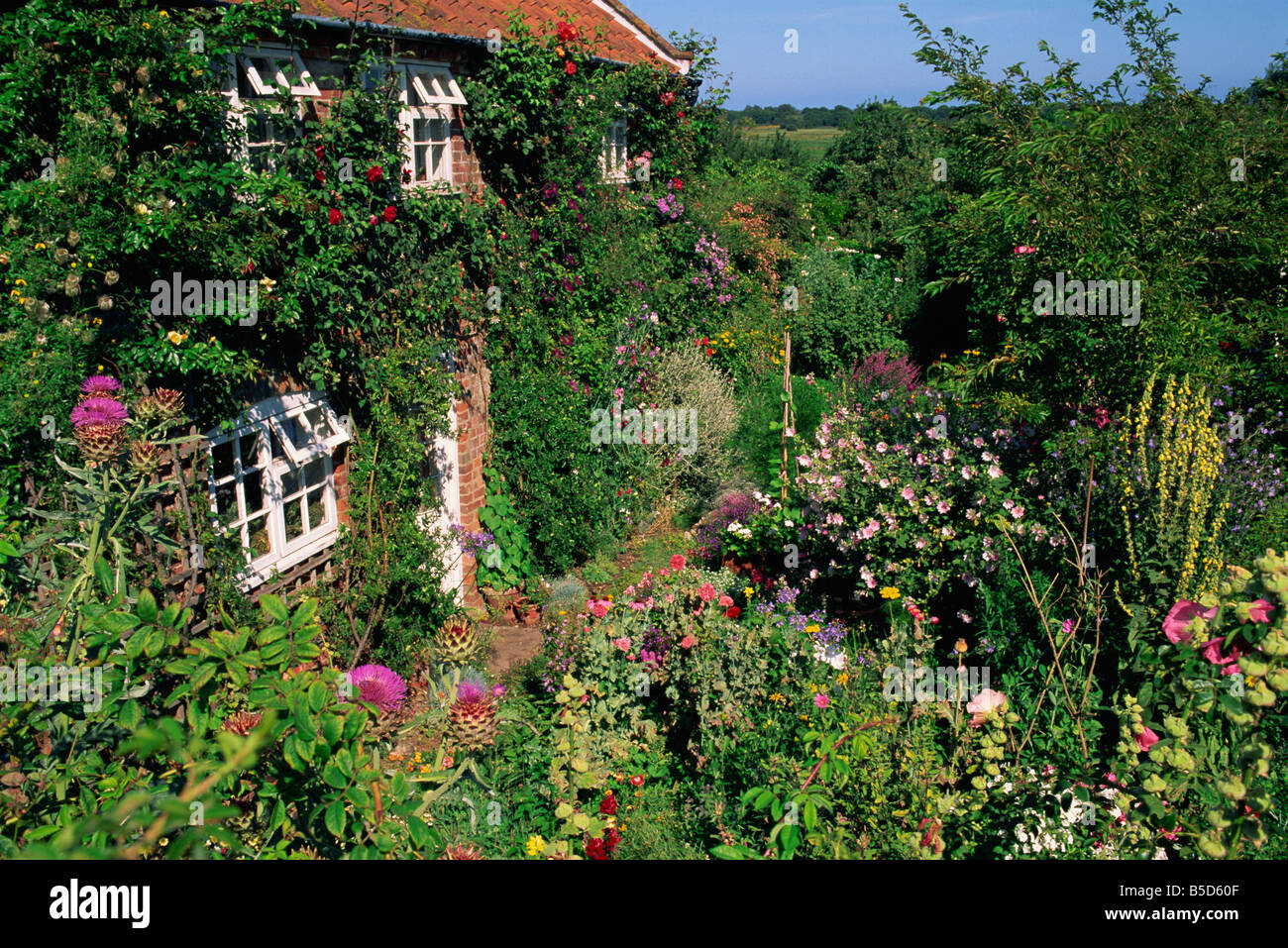 Dettaglio del cottage e giardino Suffolk REGNO UNITO Inghilterra J luminose Foto Stock