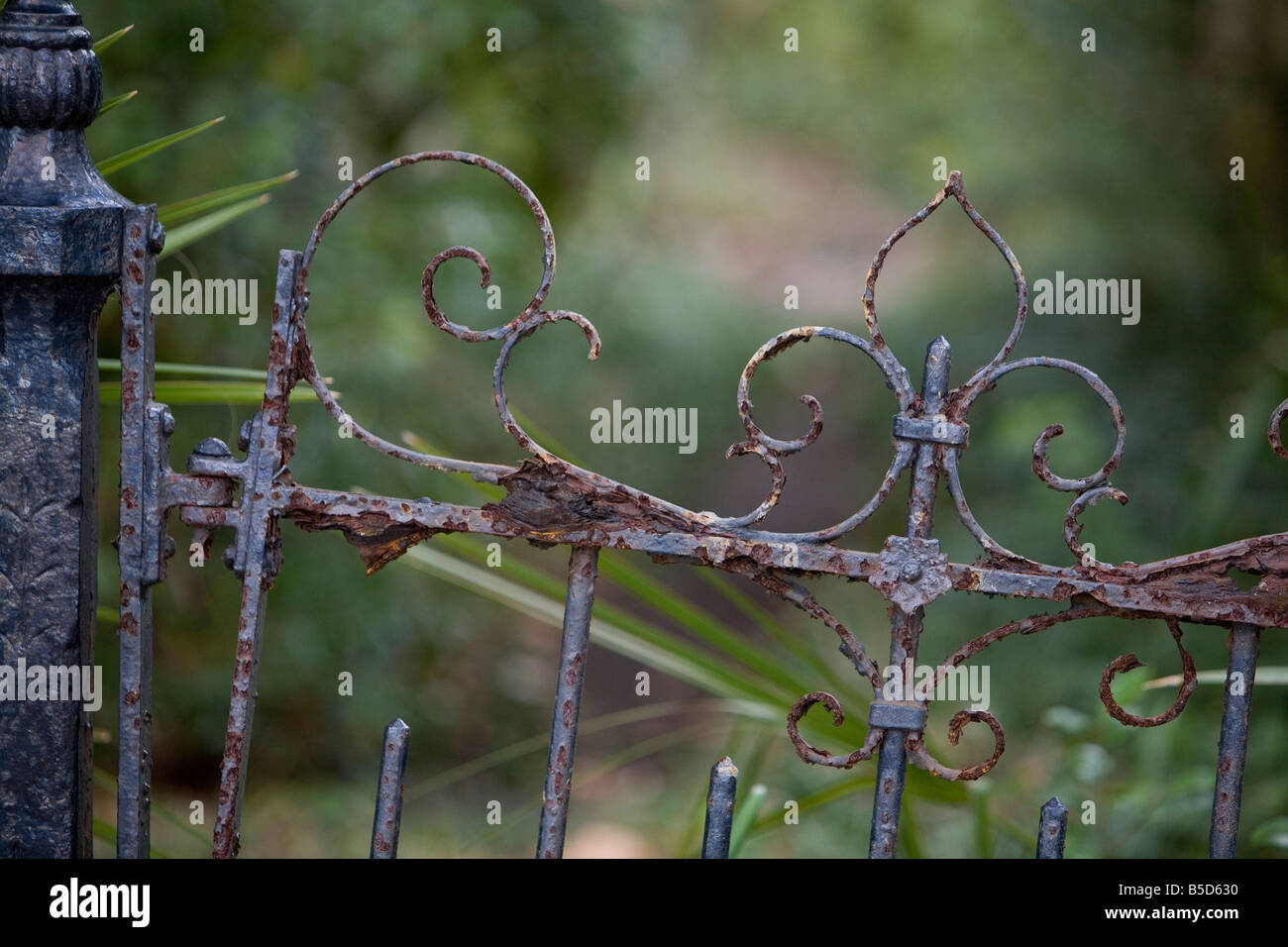 Asta arrugginito cancello di ferro Foto Stock