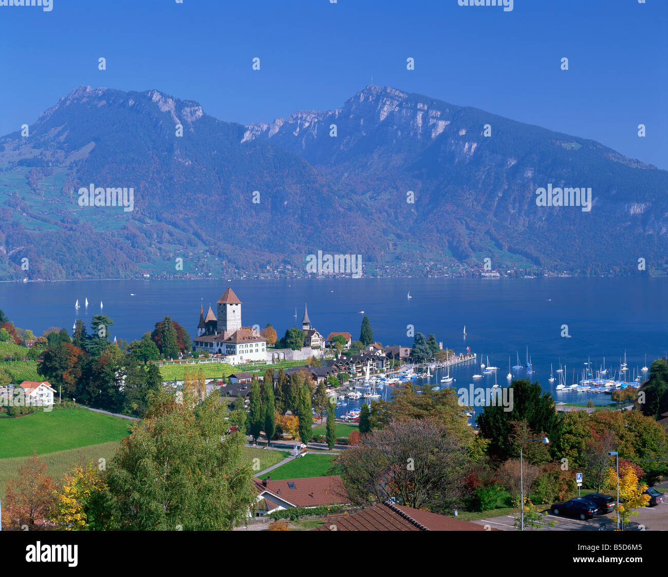 Vista sulla città e sul porto di Spiez sul lago Thunersee nell Oberland Bernese Svizzera Europa Foto Stock