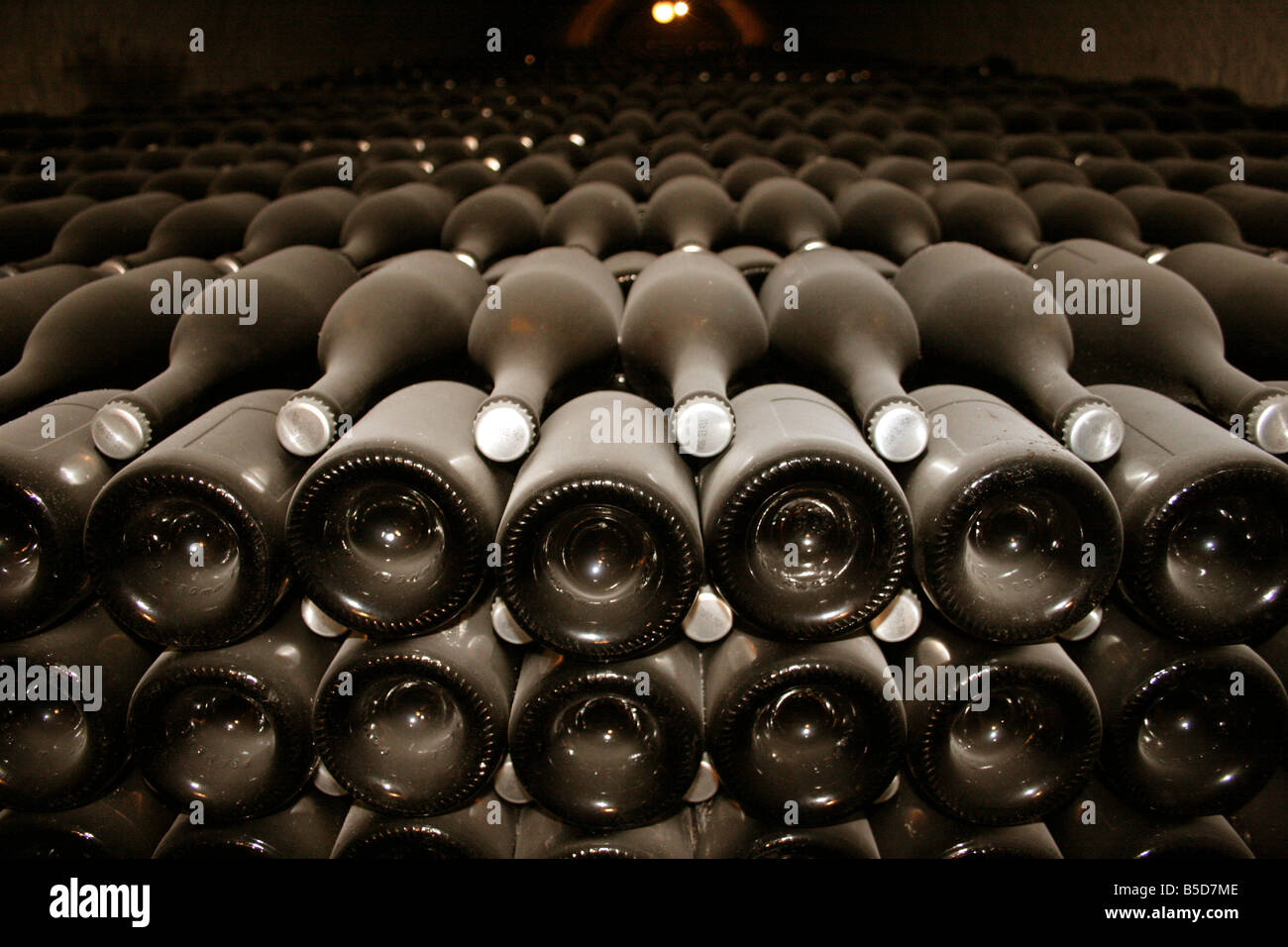 Moet et Chandon vecchio vintage polverose bottiglie di champagne presso le loro cantine capo ufficio, Epernay Francia orizzontale. 50646 Epernay2005 Foto Stock