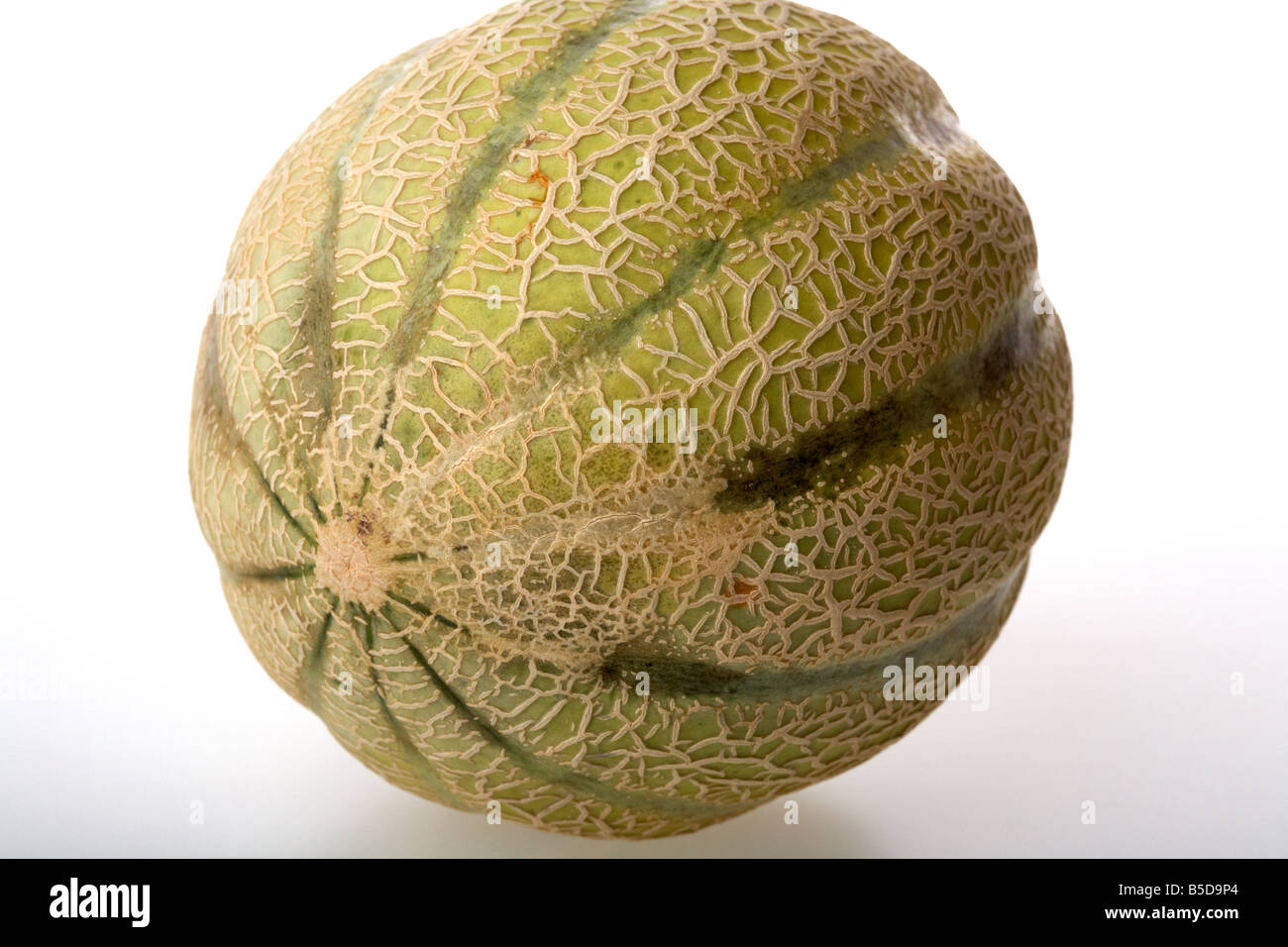 Tutto mature europeo di melone Cantalupo Foto Stock