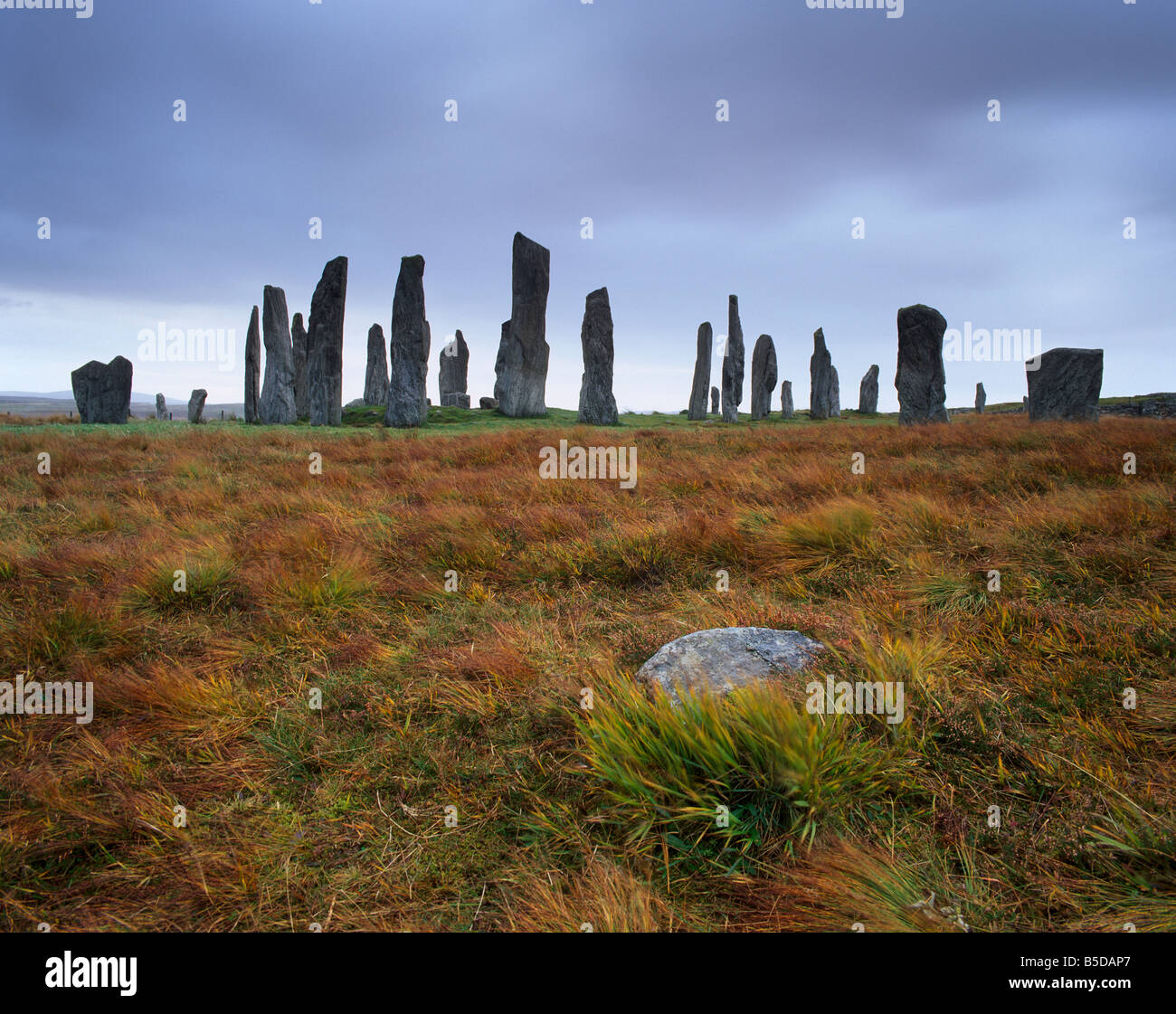 Callanish (Callanais) pietre permanente, eretto dal popolo neolitico, isola di Lewis, Ebridi Esterne, Scozia Foto Stock