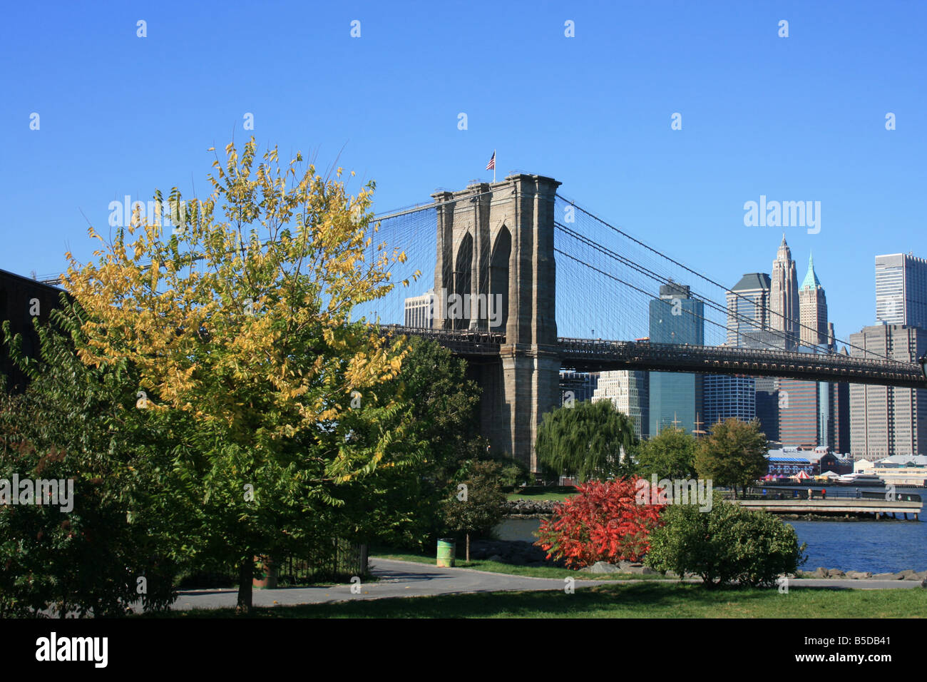 Fogliame lungo la East River. Il Ponte di Brooklyn e la parte inferiore di Manhattan in background. Foto Stock