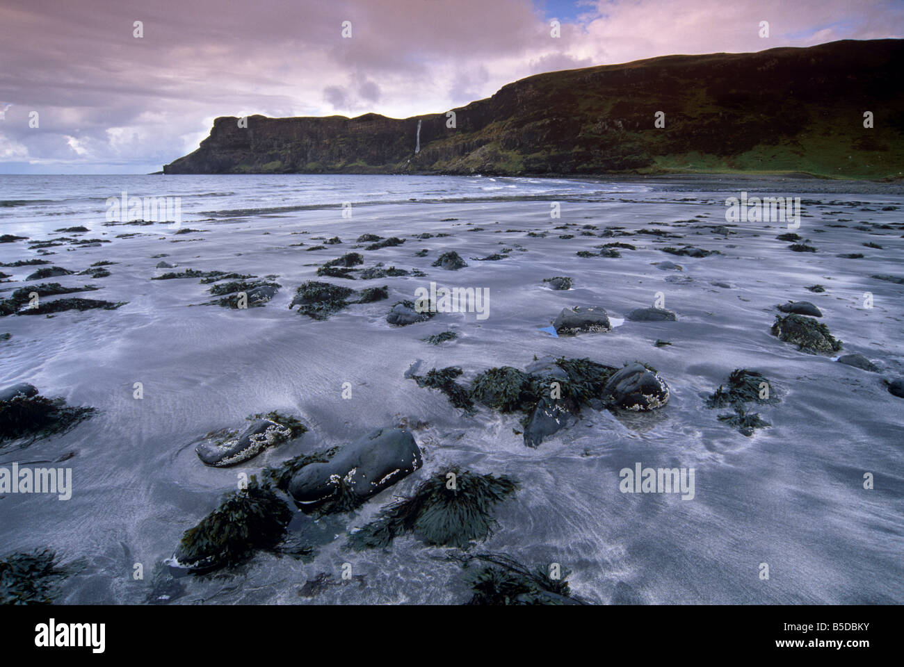 Talisker Bay, Isola di Skye, Ebridi Interne, Scozia, Europa Foto Stock