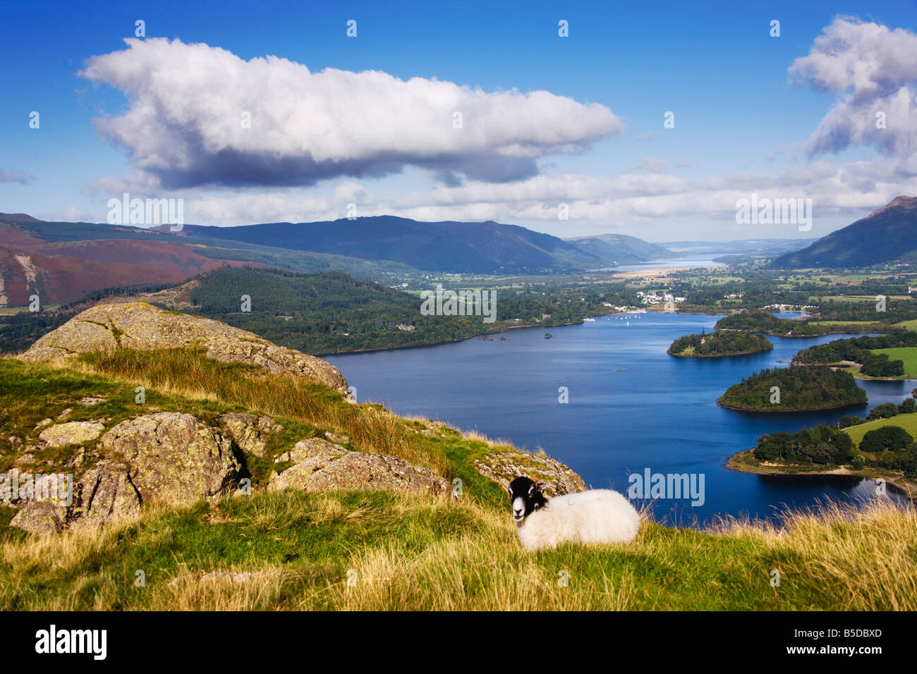 Derwent Water visto da Walla Rupe di vertice in autunno, 'Il Lake District' Cumbria Inghilterra England Regno Unito Foto Stock