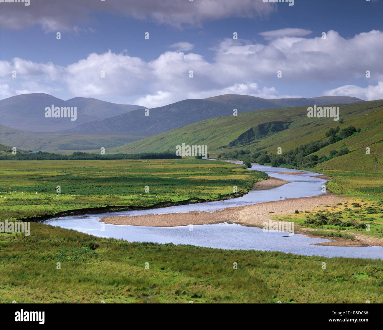 Strath più Valley, vicino a Loch speranza, Sutherland, Highland regione, Scozia, Europa Foto Stock