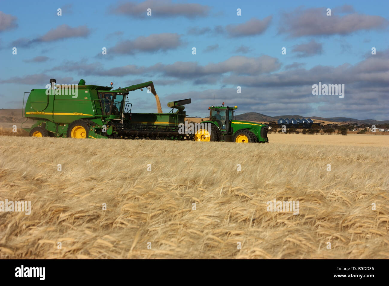 Un harvester e il trattore sulla penisola di Eyre con alta risoluzione Fotografia Foto Stock