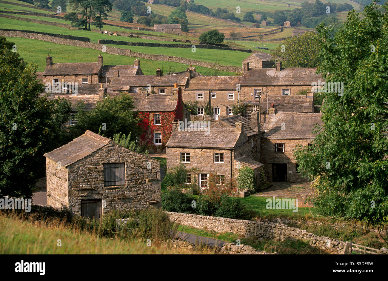 Thwaite, vicino Muker, Swaledale, Yorkshire Dales National Park, il Yorkshire, Inghilterra, Europa Foto Stock