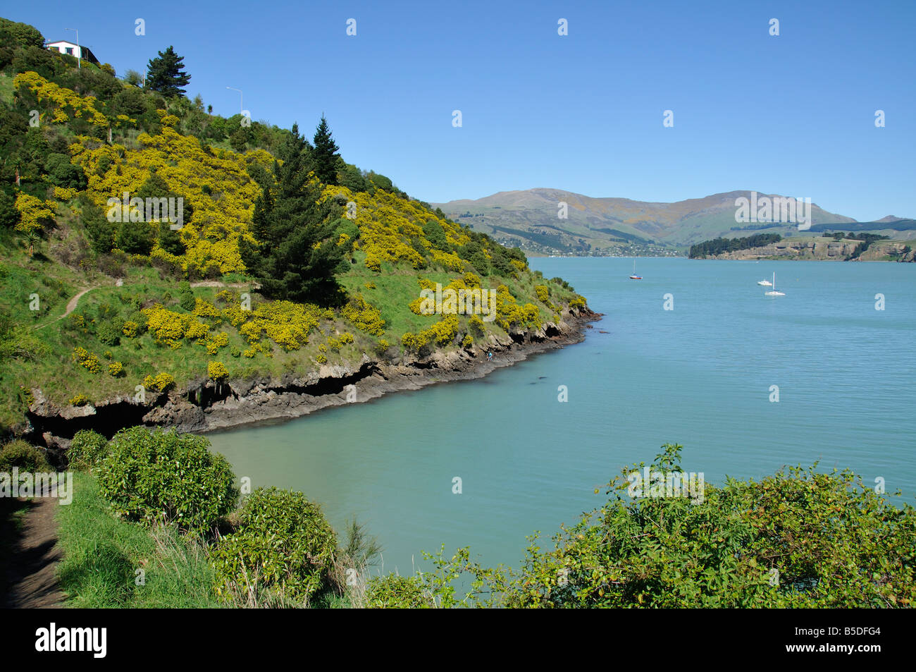 Vista su tutta la baia Cass,Port Hills, Penisola di Banks, Nuova Zelanda Foto Stock