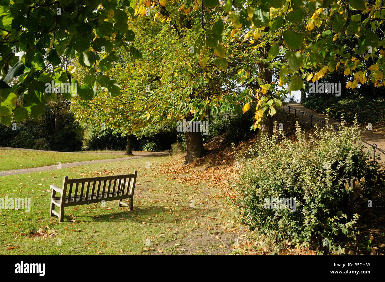 Un banco in un parco, Richmond Park, London, Regno Unito Foto Stock