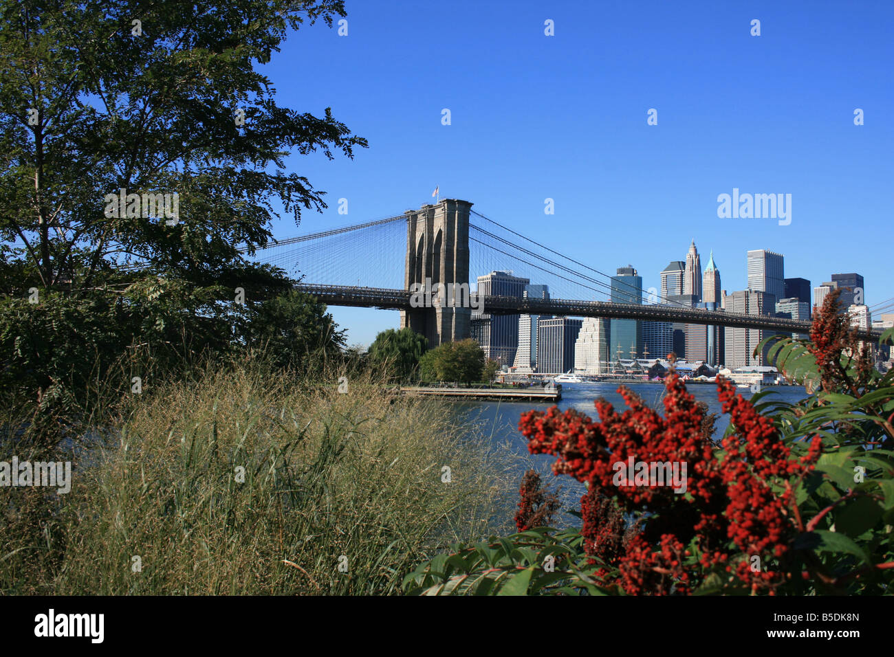 Fogliame lungo la East River. Il Ponte di Brooklyn e la parte inferiore di Manhattan in background. Foto Stock