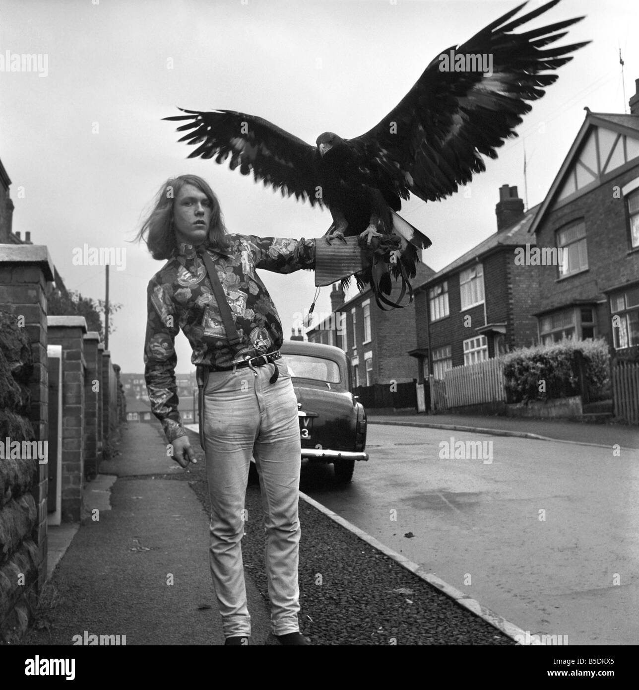 David Fox visto qui prendendo il suo pet Golden Eagle per una passeggiata per il quartiere locale. Circa. 1965 Foto Stock