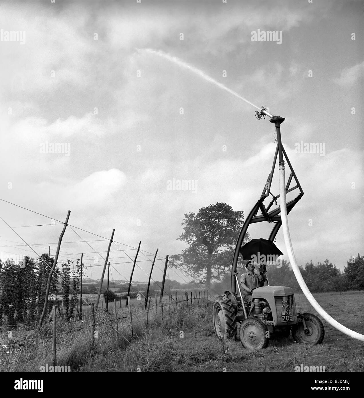 Invenzioni: la pioggia pistola: un agricoltore visto qui il test di un nuovo tipo di processo di irrigazione chiamato la pistola di pioggia si trasforma il dispositivo su th Foto Stock