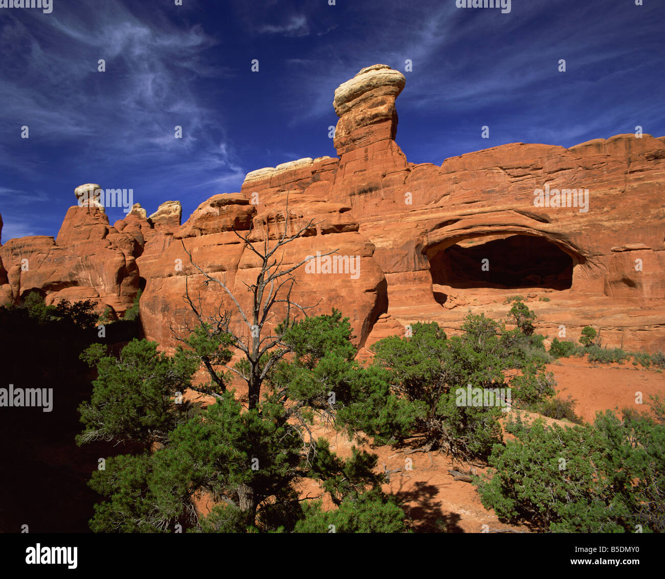 Tower Arch Klondike Bluffs Arches National Park nello Utah Stati Uniti d'America Nord America Foto Stock