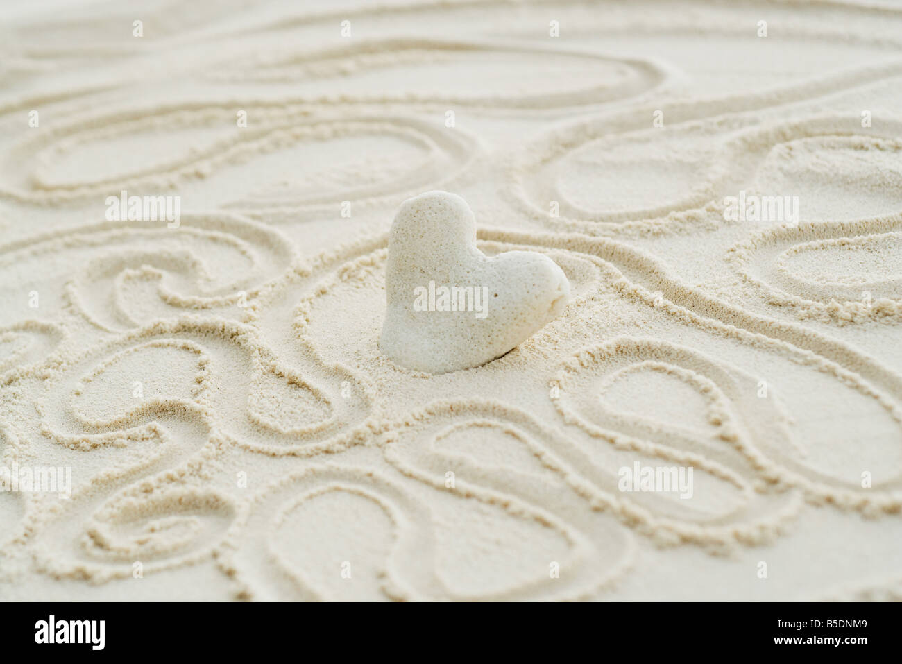 A forma di cuore coral bloccato in sabbia, circondato da alle righe di sottolineatura ondulate Foto Stock